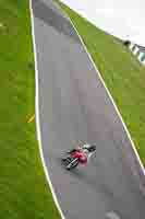 Red Bikes